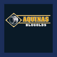 Baseball-Softball Design 0115