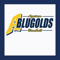 Baseball-Softball Design 0121