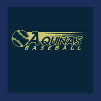 Baseball-Softball Design 0268