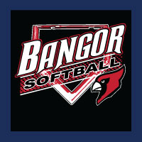 Baseball-Softball Design 0285