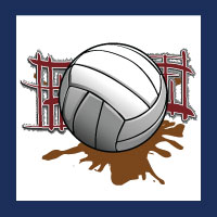 Volleyball Icon