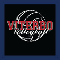Volleyball Design 213