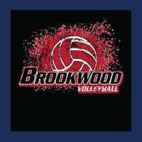 Volleyball Design 242