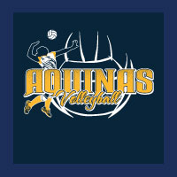 Volleyball Design 245