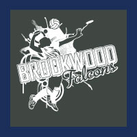 Volleyball Design 255